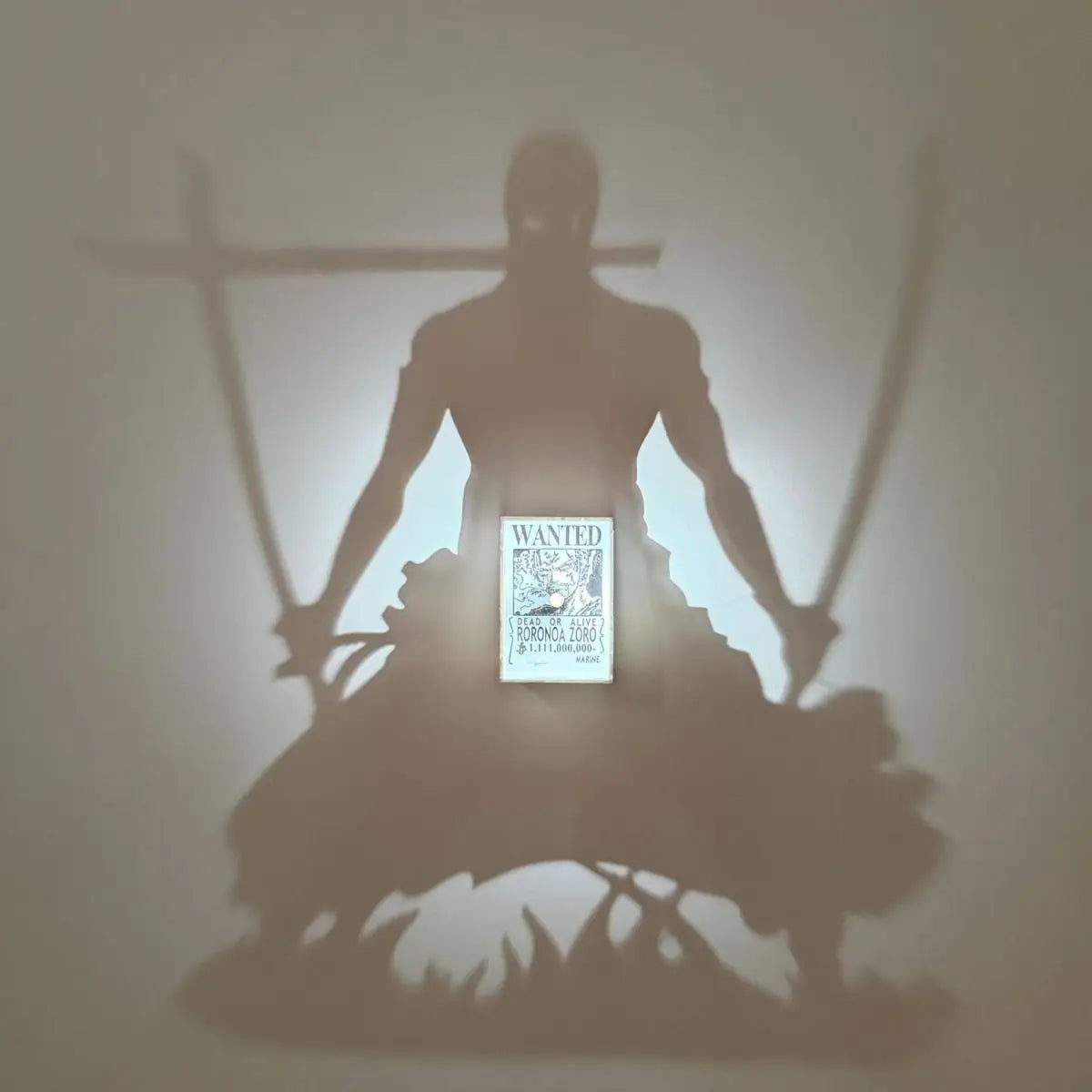 Zoro Shadow Light™